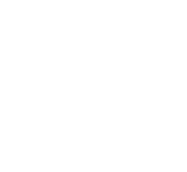5see Media